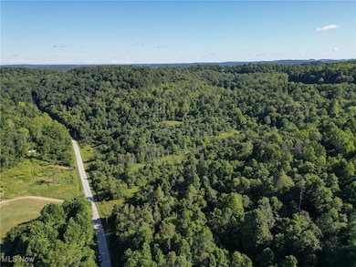 0 Greenlawn Rd unit 2, Quaker City, OH 43773 - photo 4