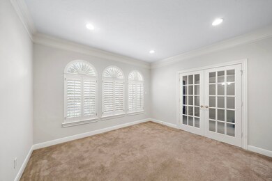 Bright room with carpet flooring, featuring arched