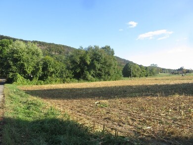 2A 0 Old Mountain Rd, Hadley, MA 01035 - photo 3