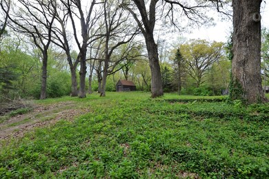 DSC_0003 (2)