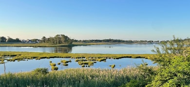 Breathtaking views of Meadow Pond