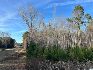 0 Highway 431 unit 21438889, Heflin, AL 36264 - photo 3