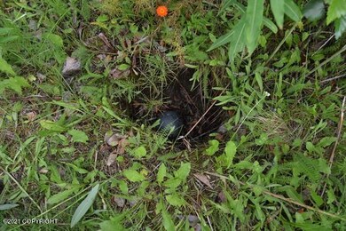 Septic location