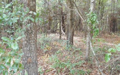 LOT 3 Open Ct, Lake City, FL 32055 - photo 4