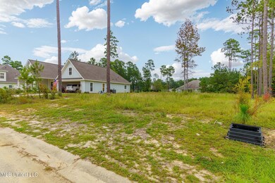Lot 98 S Founders Way, Hattiesburg, MS 39401 - photo 7