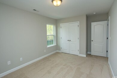 193 Astoria Park Loop unit Lot 24, Conway, SC 29526 - photo 5