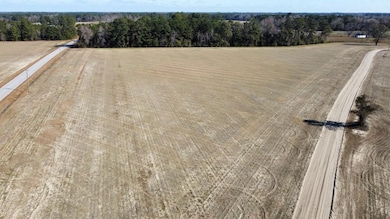 Tbd Shelley Rd, Nichols, SC 29581 - photo 5