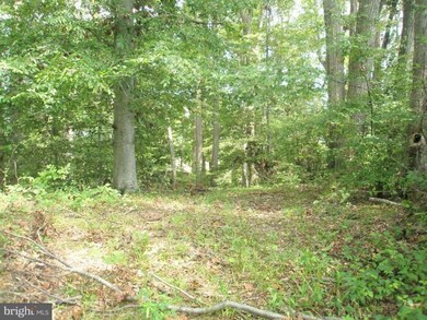 10 Peach Grove Rd, Louisa, VA 23093 - photo 4