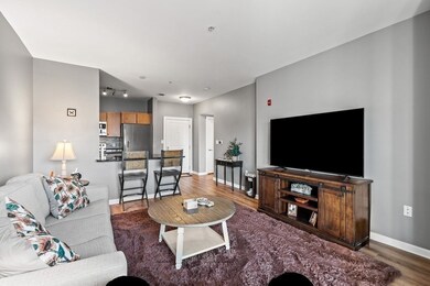 4 Repton Cir unit 4311, Watertown, MA 02472 - photo 4