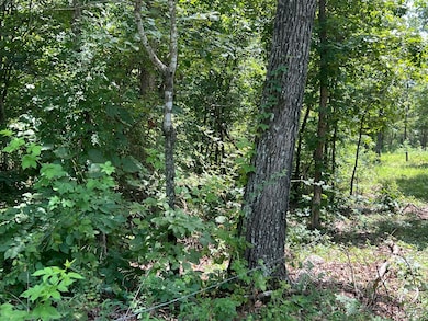 000 Foxfield Rd, Mammoth Spring, AR 72554 - photo 5