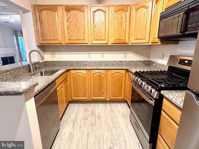 20301 Beechwood Terrace unit 100, Ashburn, VA 20147 - photo 7