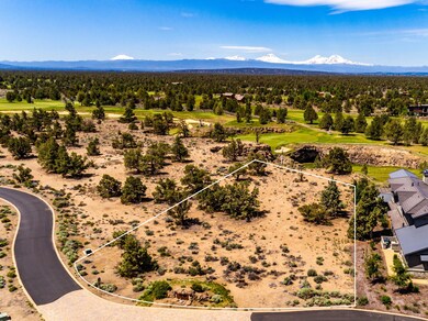 3. Lot 181, Pronghorn-18