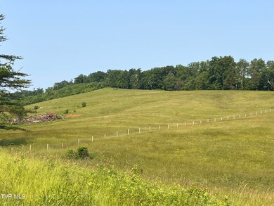 IMG_3311