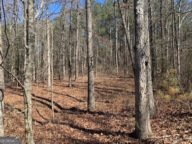 0 Veterans Dr unit 10462428, Danielsville, GA 30633 - photo 5