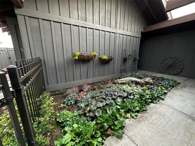 Shade garden