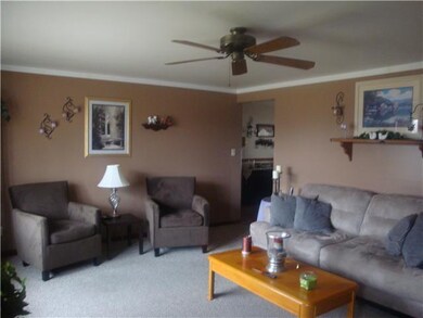 Living Room. Neutral berber carpeting and paint co