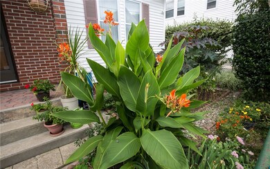 19 Walker St, Pawtucket, RI 02860 - photo 2