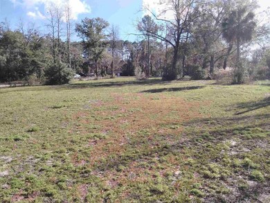 718 Shadeville Rd, Crawfordville, FL 32327 - photo 4