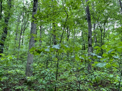 0 Burgess Loop unit RTC2389168, Crossville, TN 38572 - photo 4