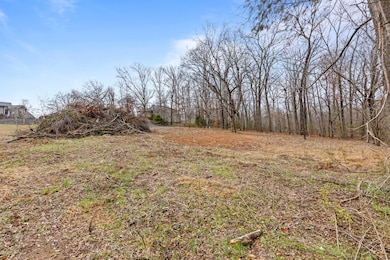 0 Scenic Hollow Dr, Dunlap, TN 37327 - photo 4