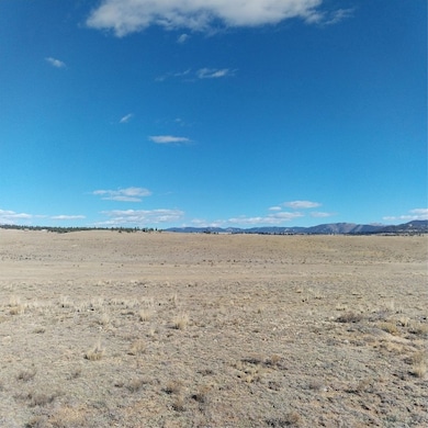 3552 Ute Trace, Hartsel, CO 80449 - photo 5