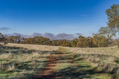 11151 Ridge Rd, Sutter Creek, CA 95685 - photo 6