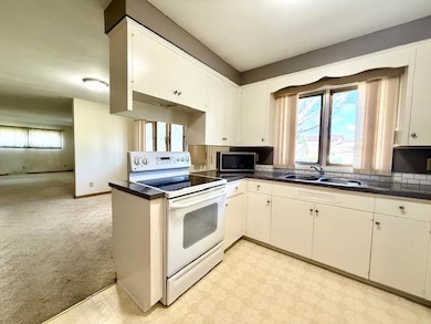 106 N Mcphail Ave, Caledonia, MN 55921 - photo 2