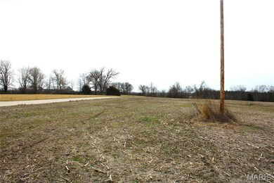 875 W Monroe St, Paris, MO 65275 - photo 4