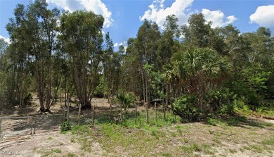 1015 Legion Ave, Lehigh Acres, FL 33974 - photo 2