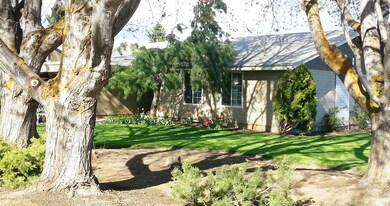 41 Bertsch Circle