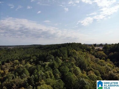 0000 Brooks Dr unit 1, Brookside, AL 35068 - photo 5