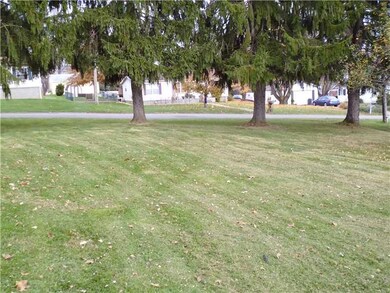 Yard/Garden.