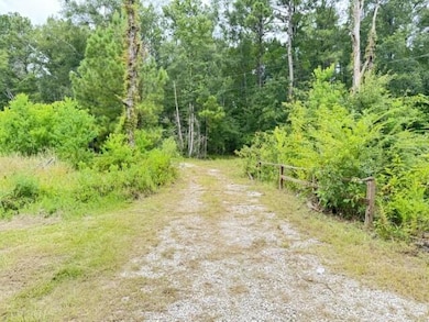 503 Shirley Loop, Deridder, LA 70634 - photo 3