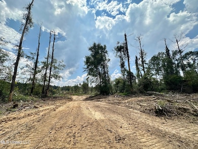 0 Whitetown Ln, Hazlehurst, MS 39083 - photo 3