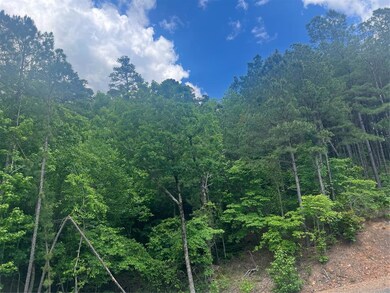 View of tree filled area