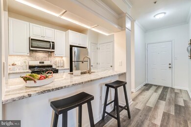 46630 Drysdale Terrace unit 200, Sterling, VA 20165 - photo 6