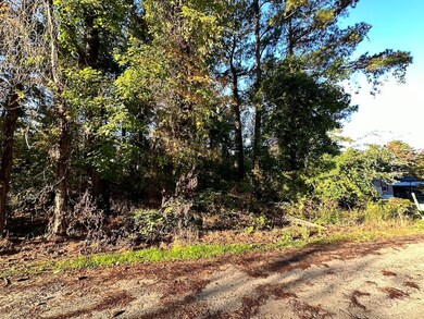 0.23 Mason Dr unit 11, Chincoteague, VA 23336 - photo 4