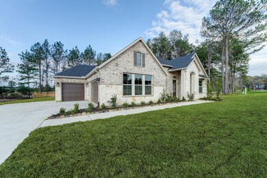 17824 Lake Placid Ln, Magnolia, TX 77354 - photo 3