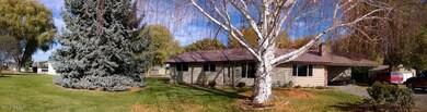 Front Yard Panorama