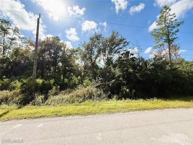 4765 28th Ave SE, Naples, FL 34117 - photo 3