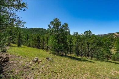 Lot 9 Sundance Rd, Cotopaxi, CO 81223 - photo 3