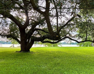 764 Highway 606, Saint Joseph, LA 71366 - photo 3