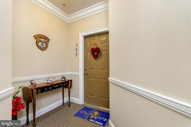 7305 Brookview Rd unit 302, Elkridge, MD 21075 - photo 5