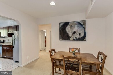 203 Skyhill Rd unit 3, Alexandria, VA 22314 - photo 6