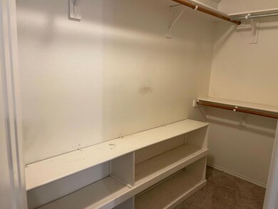 Walk in closet with carpet