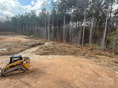 1590 Autumn Ln unit 116, York, SC 29745 - photo 6