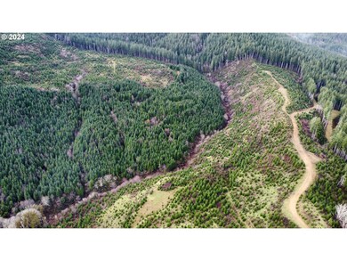 0 Logsden Rd, Logsden, OR 97357 - photo 7