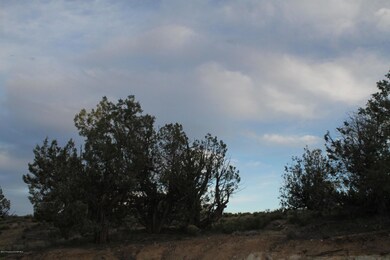 6421 Tear Drop Ct, Farmington, NM 87402 - photo 6