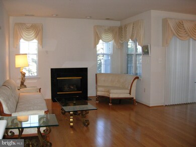 5002 Willow Branch Way unit 103, Owings Mills, MD 21117 - photo 4