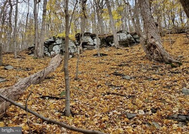 0 Stoney Run Rd, Moorefield, WV 26836 - photo 6